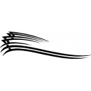 Tribal 1 - 072